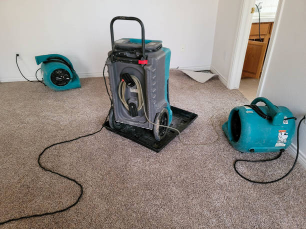 Fire Damage Restoration in Waldo, FL