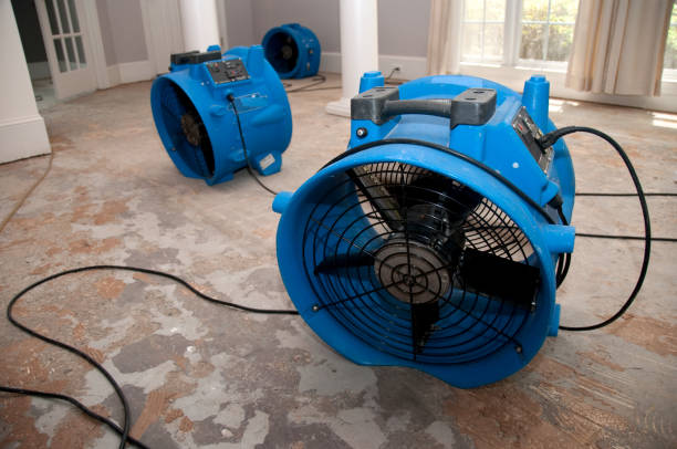 Best Local water damage restoration  in Waldo, FL