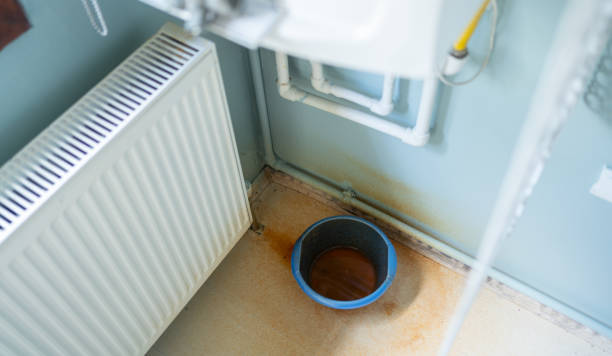 Best Emergency water damage restoration  in Waldo, FL