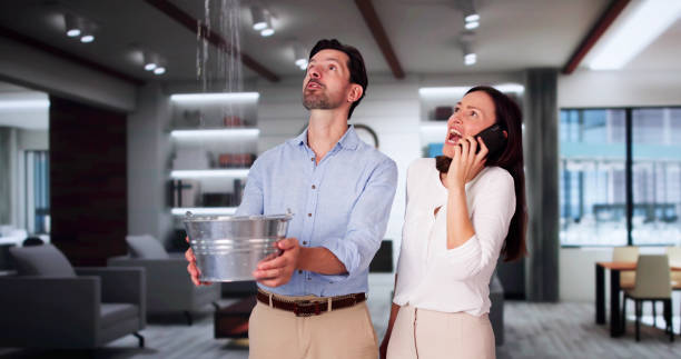Trusted Waldo, FL Water damage restoration Experts